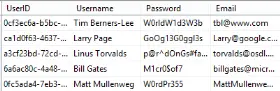 A user table where the used password storage strategy is plain text