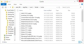 NuGet Repository Cache